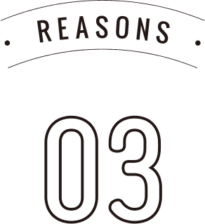 reason 03