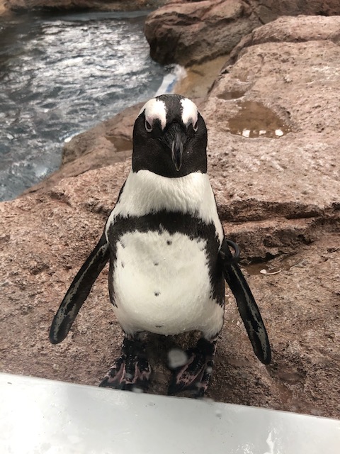 水族館に行ってきました♪