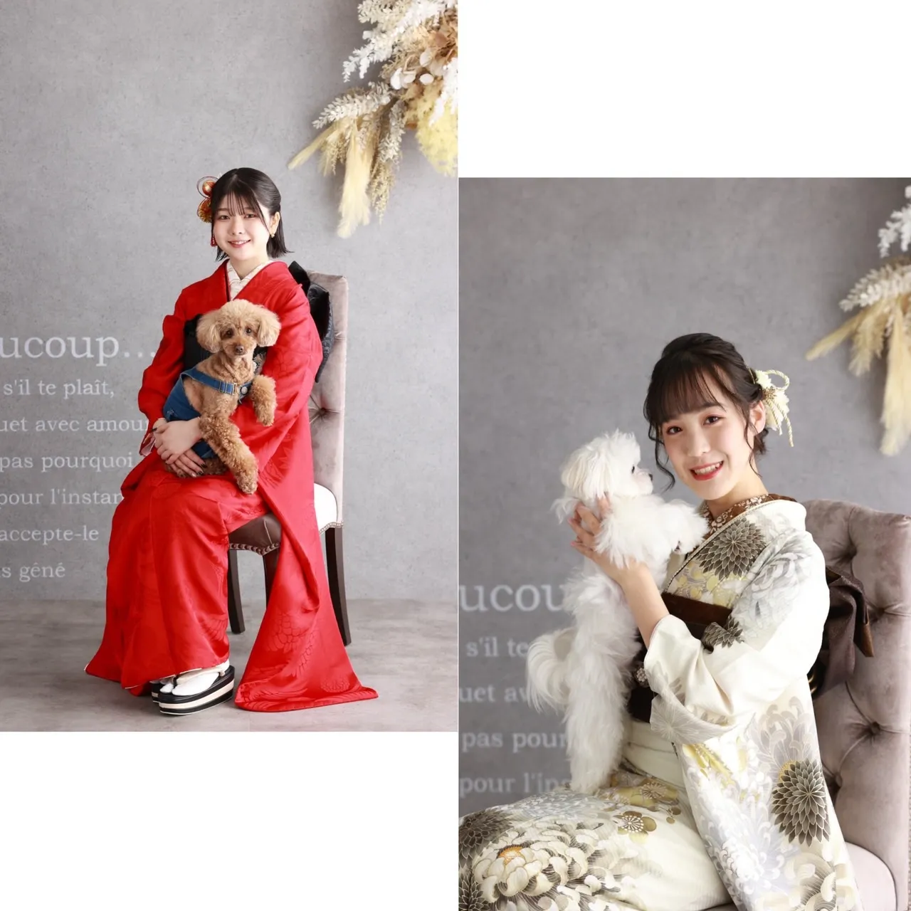 成人式　振袖　レンタル　奈良　橿原　前撮り　スタジオ　ペット　OK 　二十歳　犬　猫　ウサギ　可愛い　