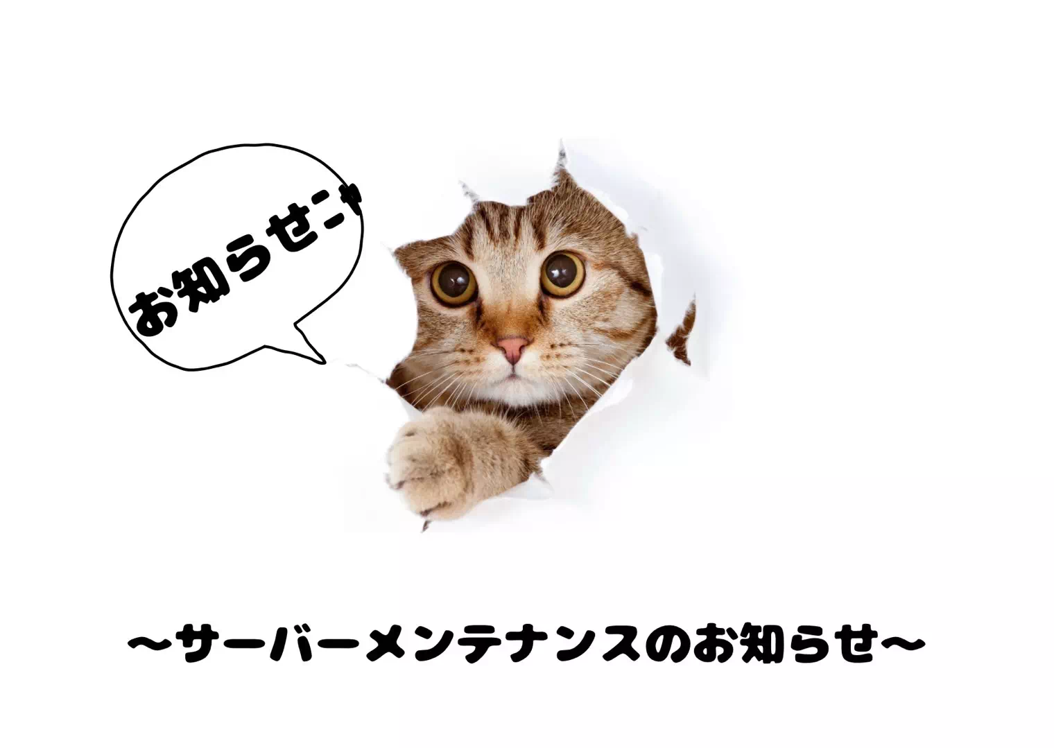【TAKAZEN姫路店】サーバーメンテナンスのお知らせ