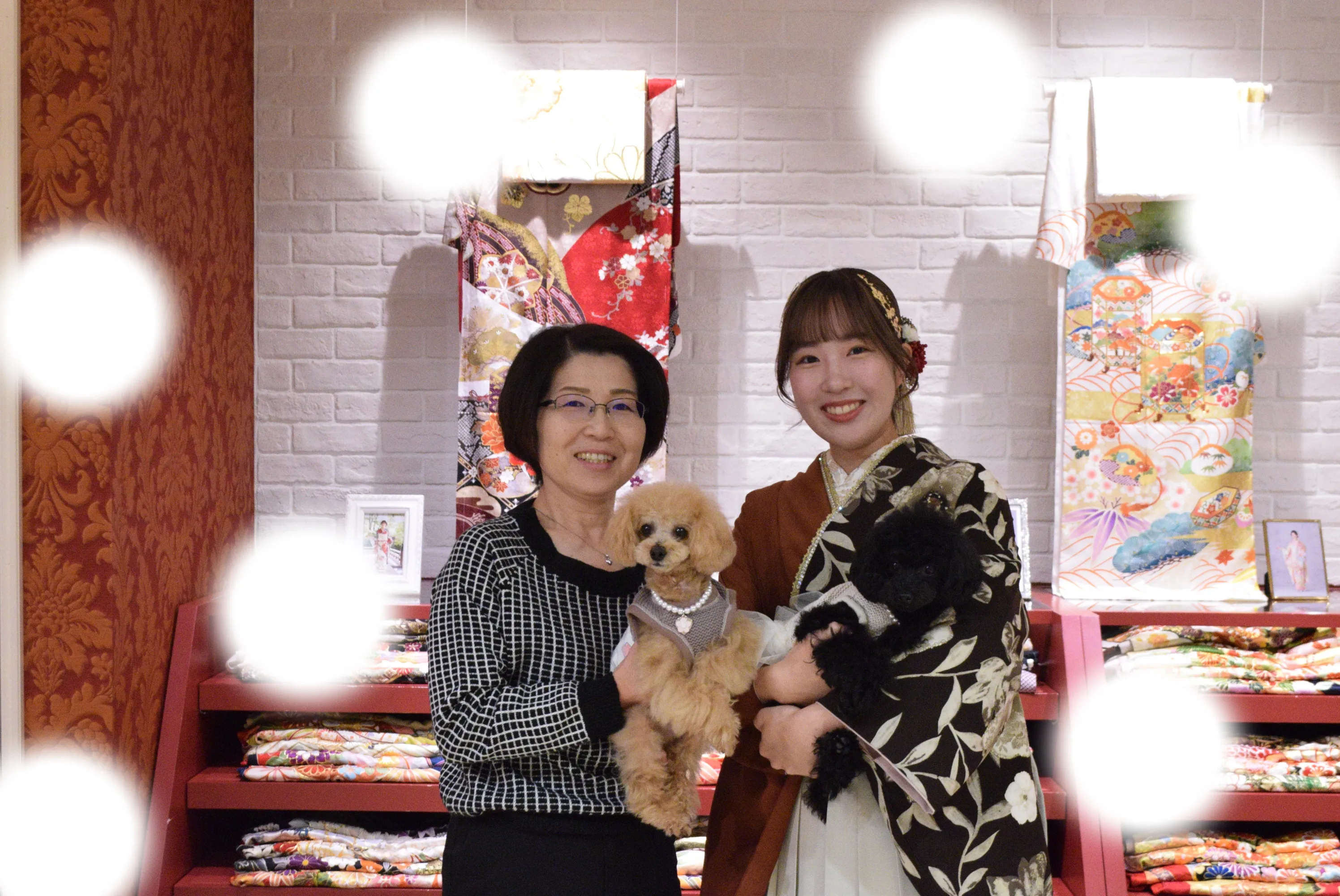 振袖レンタル　袴レンタル　前撮り　写真プラン　ペット可　かわいい　イマドキ　古典　くすみ　大阪　梅田