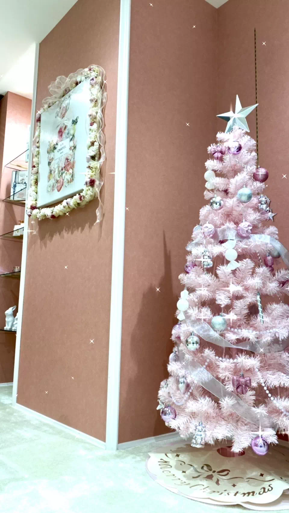 【TAKAZEN姫路店】♡17日　姫路店にクリスマスツリー登場♡2024年成人のお振袖レンタルの駆け込みもまだ間に合います！！