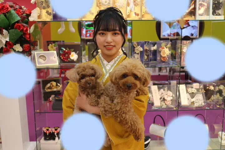 TAKAZEN神戸店　前撮り撮影会　イマドキ　カワイイ　コディネート　振袖　レンタル　袴　