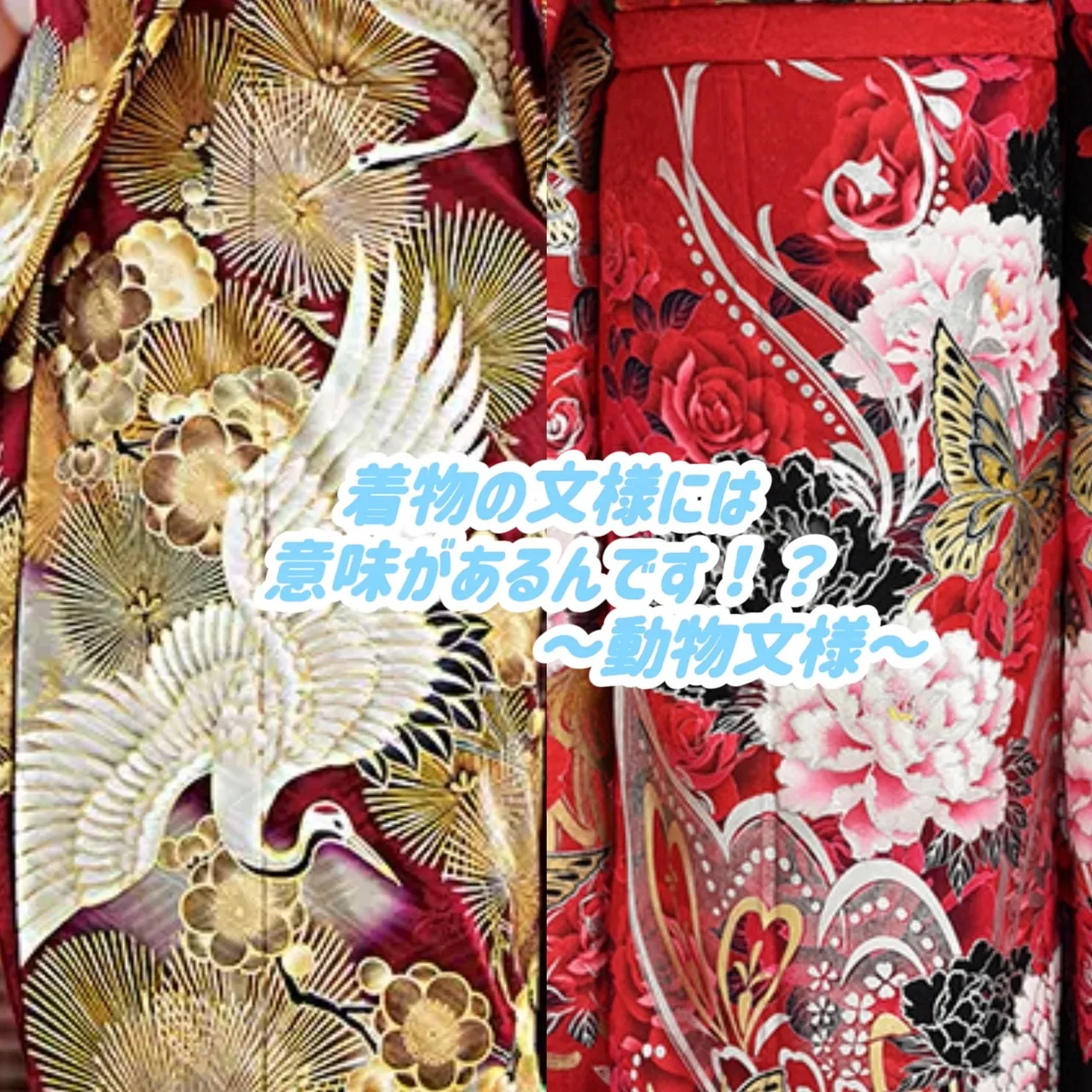 【TAKAZEN橿原店】30日♡お着物の文様～動物文様～についてのご紹介です♡