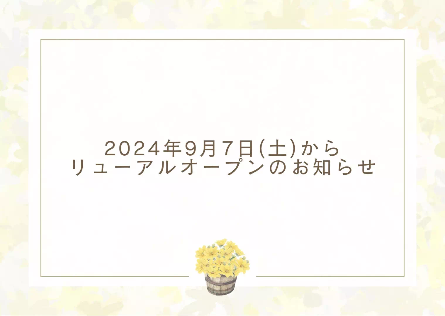 【TAKAZEN神戸三宮店】2024年9月7日リニューアルオープンのお知らせ♪