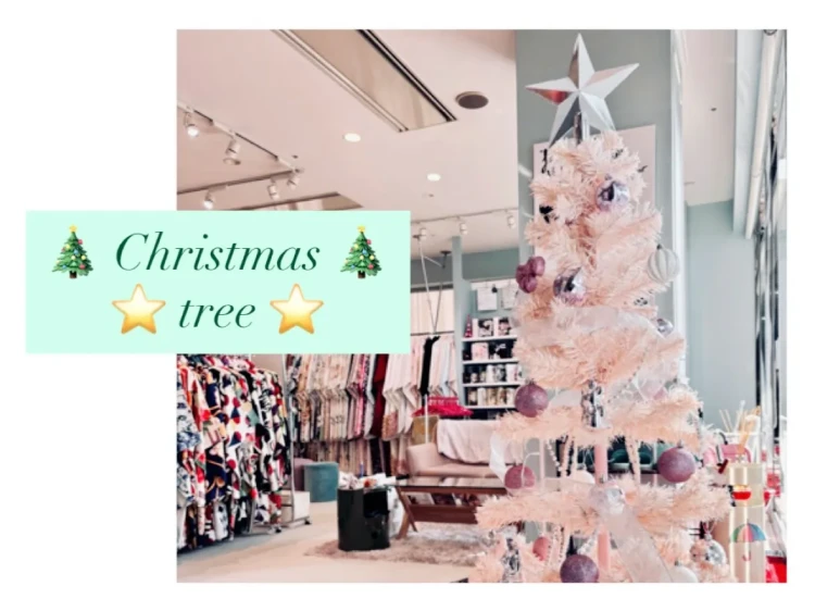 ♥【TAKAZEN堺店】14日 クリスマスツリー飾りました🎄!♥