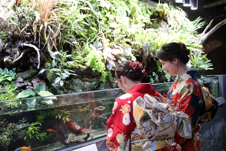 成人式振袖 水族館で撮影 atoa