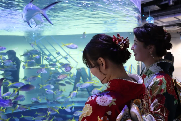 成人式振袖 水族館で撮影 atoa
