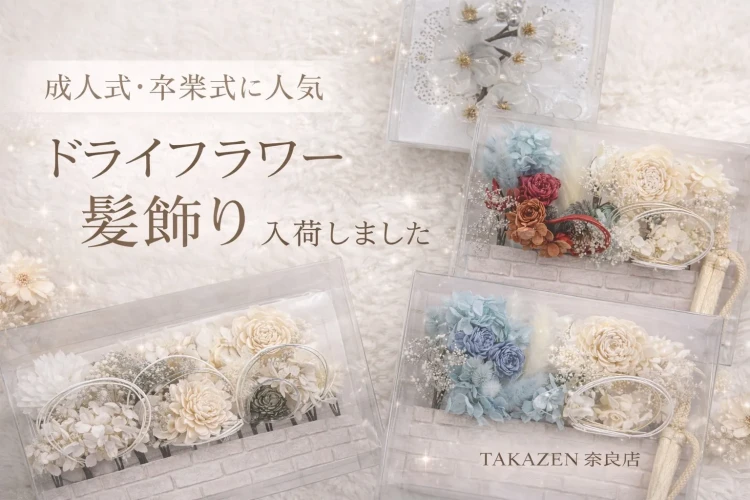 トレンドドライフラワー髪飾りの写真