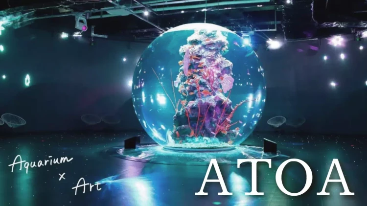 振袖×水族館で幻想的なお写真を✨写真映えスポットの紹介🐟