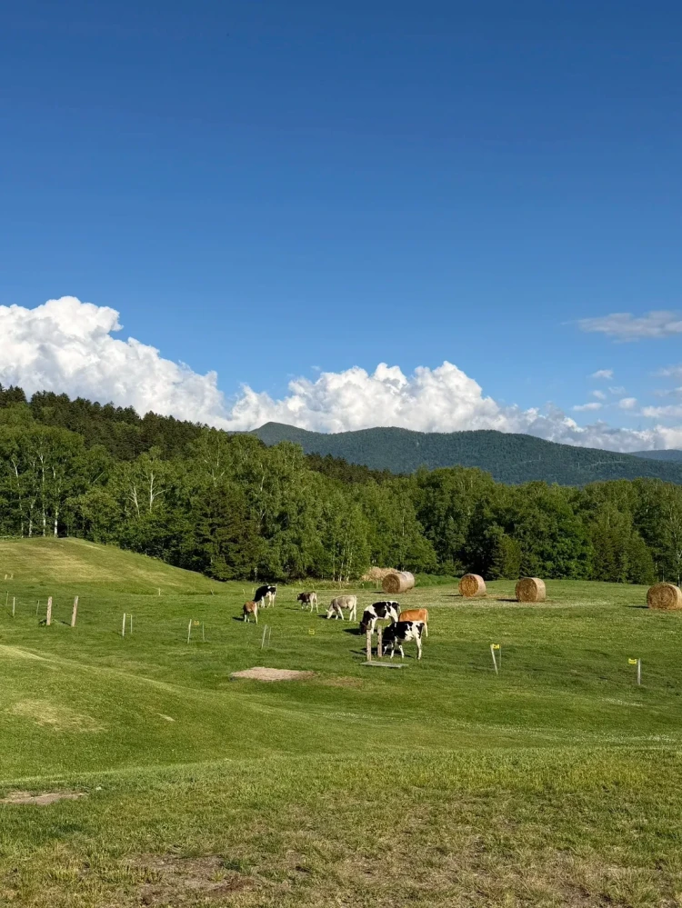 社員旅行で北海道に行ってきました