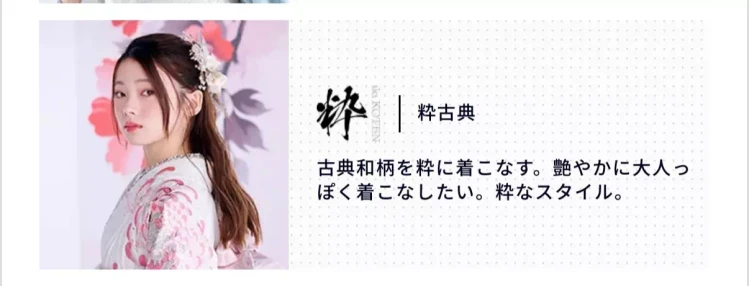 姫路で成人式お振袖をレンタルするならTAKAZEＮ姫路店。振袖ジャンルをご紹介。